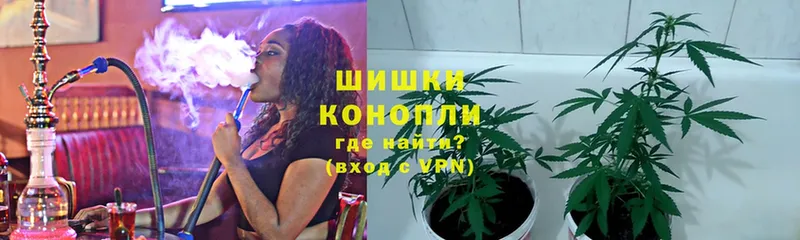 Бошки Шишки ГИДРОПОН  Кубинка 